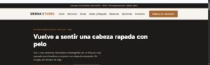 Vista previa de la web de ejemplo Densa Studio, concepto de portfolio para un estudio de micropigmentación capilar